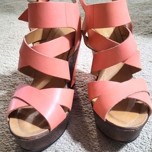 Elegant Salmon Wedges